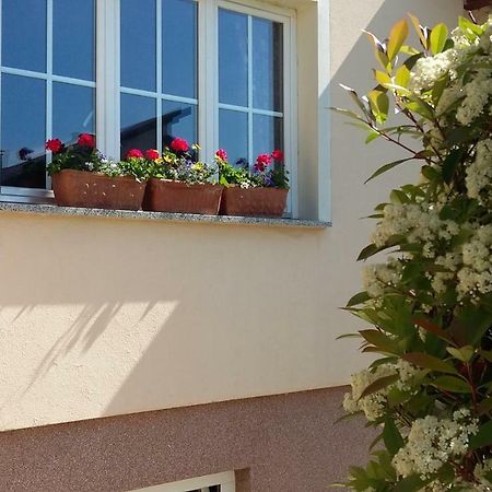 Apartments Place4You Bjelovar Eksteriør billede